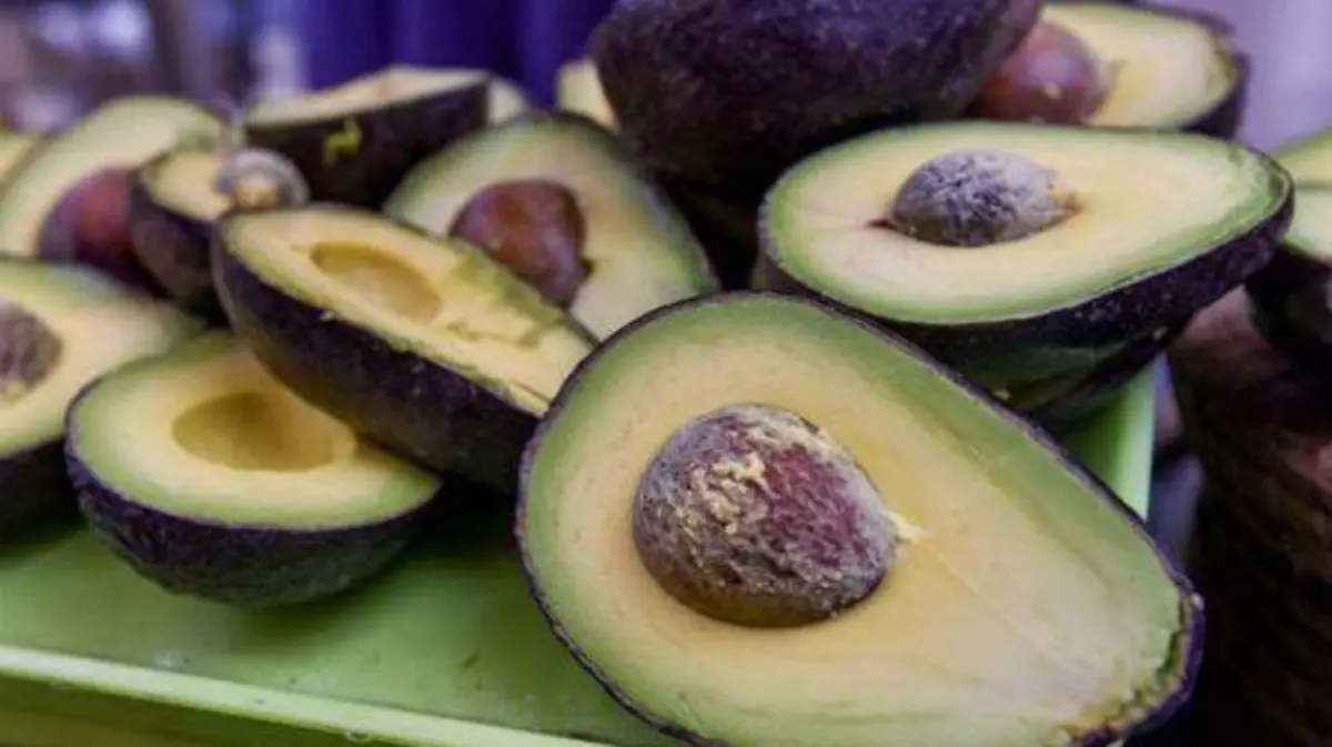 aguacate sube precio CUARTOSCURO